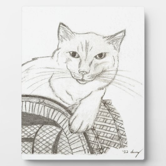 Cat Ragdoll Portrait Plaque Fotoplaat (Voorkant)
