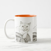 Cat Ragdoll Portret Mok (Links)