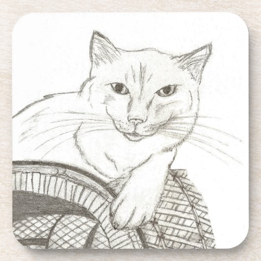 Cat Ragdoll Portret Onderzetters - Set van 6 (Voorkant)