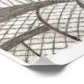 Cat Ragdoll Portret Poster (Hoek)