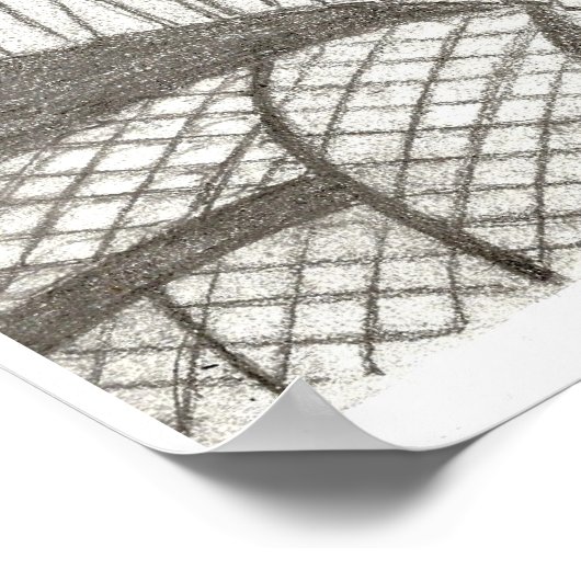 Cat Ragdoll Portret Poster (Hoek)