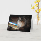 Cat Rainbow Bridge condoleanceregister of groet Kaart (Gele Bloem)