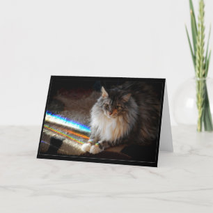 Cat Rainbow Bridge condoleanceregister of groet Kaart