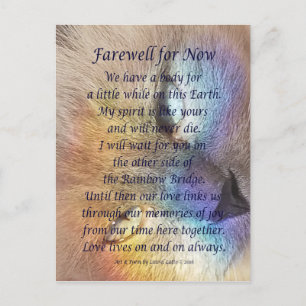 Cat Rainbow Bridge Pet Grief Sympathie Briefkaarte Briefkaart