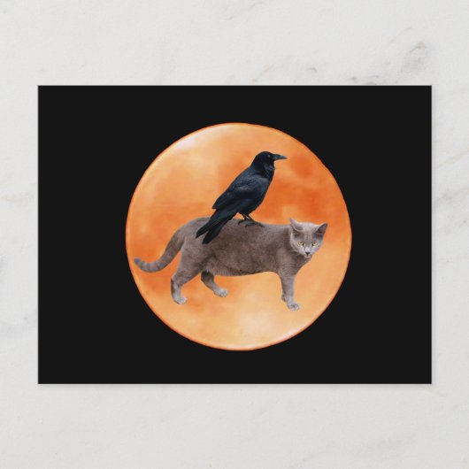 Cat Raven Moon Briefkaart (Voorkant)