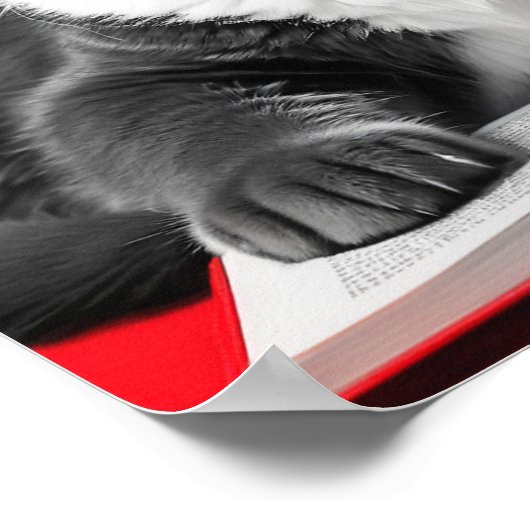 Cat Reading Book Poster (Hoek)