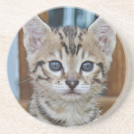 Cat reeks-Serval Savannah Cat-Onderzetter Zandsteen Onderzetter