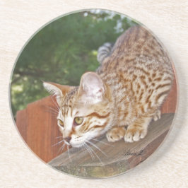 Cat reeks-Serval Savannah Cat-Onderzetter Zandsteen Onderzetter