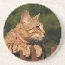 Cat reeks-Serval Savannah Cat-Onderzetter