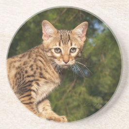 Cat reeks-Serval Savannah Cat-Onderzetter Zandsteen Onderzetter