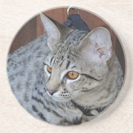 Cat reeks-Serval Savannah Cat-Onderzetter Zandsteen Onderzetter