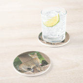 Cat reeks-Serval Savannah Cat-Onderzetter Zandsteen Onderzetter (Zijkant)