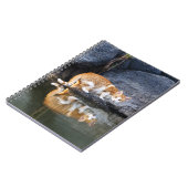 Cat Reflection in Pond Water Funny Foto - Notitieboek (Linkerzijde)
