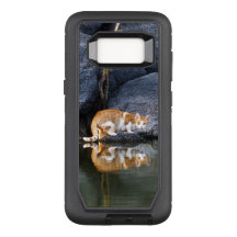 Cat Reflection in Pond Water Funny Kitten Foto __