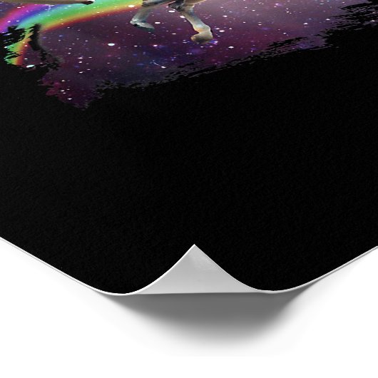 Cat Riding Chicken Turtle Panda Llama Unicorn Poster (Hoek)