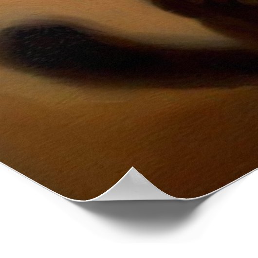 Cat Roman Algemeen Poster (Hoek)