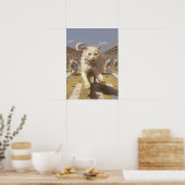 Cat Running, Track en Field Poster (Keuken)