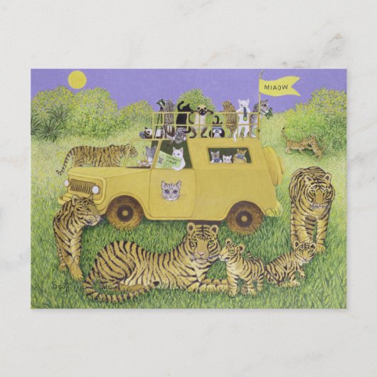 Cat Safari Briefkaart (Voorkant)