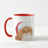 Cat Santa Claus Mok (Links)