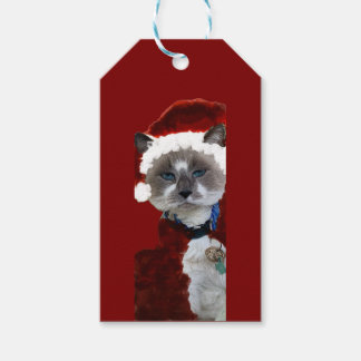 Cat Santa Claws Christmas Maureen Girard Blue Eye  Cadeaulabel