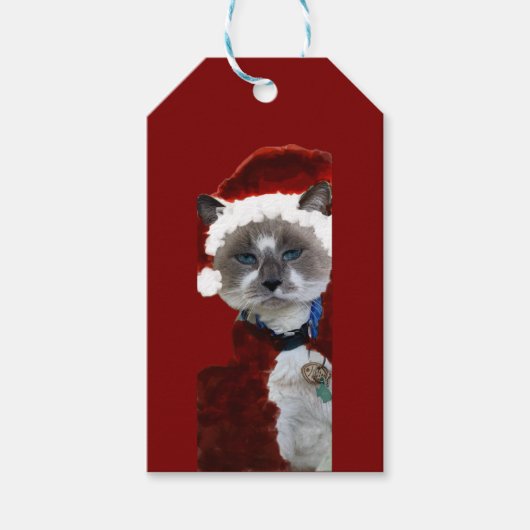 Cat Santa Claws Christmas Maureen Girard Blue Eye Cadeaulabel (Voorkant)