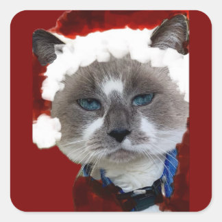 Cat Santa Claws Christmas Maureen Girard Blue Eye  Vierkante Sticker