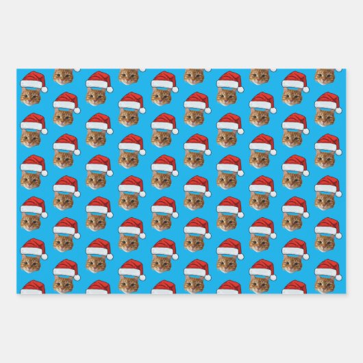Cat Santa Hat | Aangepaste Gezichtsfoto Roze Kerst Inpakpapier Vel (Voorkant 2)