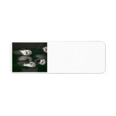 Cat Scan-adreslabels Etiket (Voorkant)