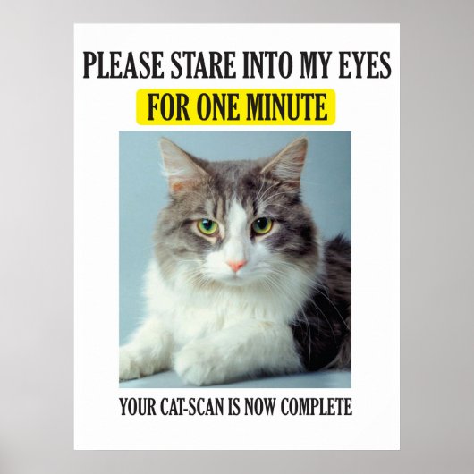 Cat Scan Poster (Voorkant)
