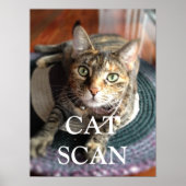 CAT SCAN-POSTER POSTER (Voorkant)