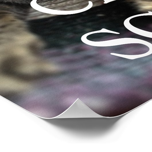 CAT SCAN-POSTER POSTER (Hoek)