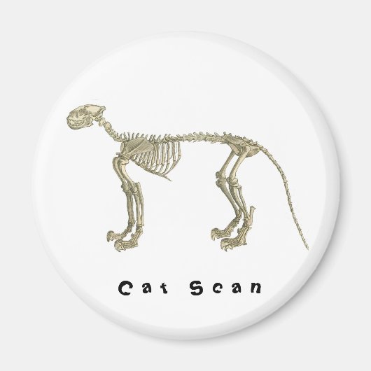 Cat Scan skeletmagneet Magneet (Voorkant)