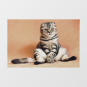 CAT SCOTTISH FOLD TABBY Window Cling Raamsticker (Vel)