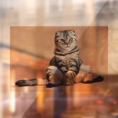 CAT SCOTTISH FOLD TABBY Window Cling Raamsticker (Vel 2)