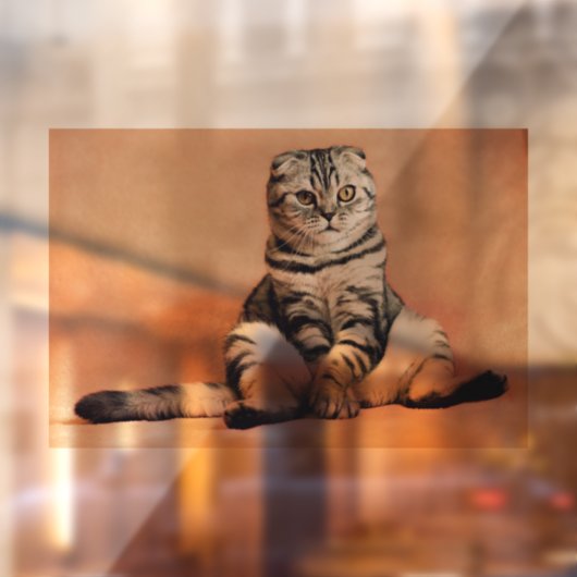 CAT SCOTTISH FOLD TABBY Window Cling Raamsticker (Vel 2)