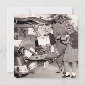 Cat Scout Cookies voor verkoop! Enkele wenskaart Kaart