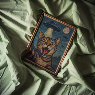 Cat Selfie met UFO Wall Art Poster Print