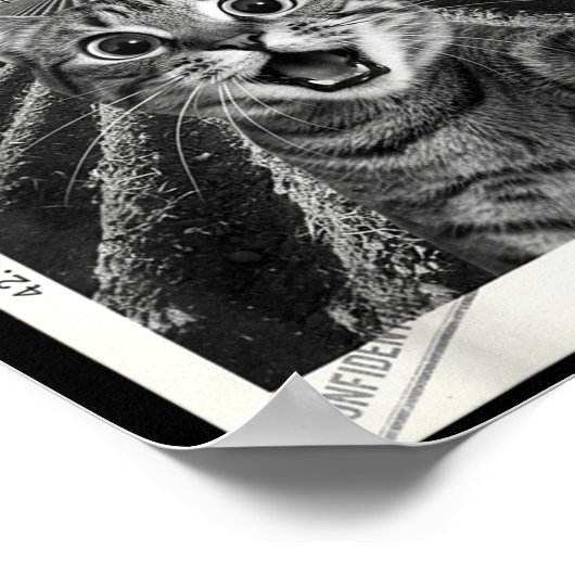 Cat Selfie Ufo Alien Funny Surprised Cat Meme Men  Poster (Hoek)