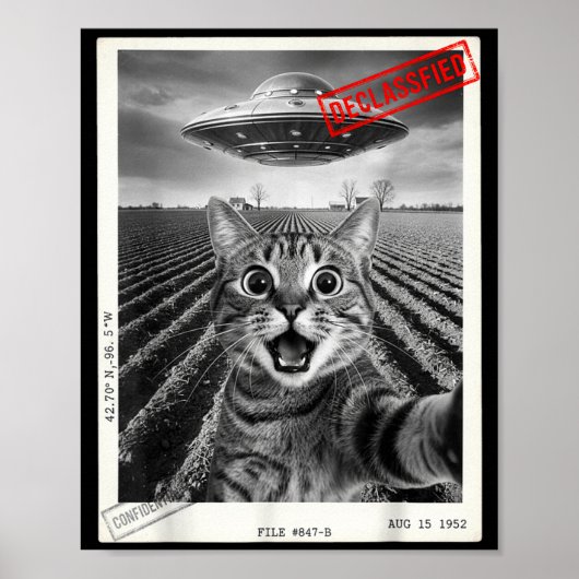 Cat Selfie Ufo Alien Funny Surprised Cat Meme Men  Poster (Voorkant)