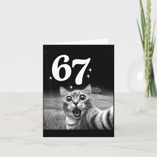 Cat Selfie With 67 Meme Funny Cats Graphic For Men Kaart (Voorkant)