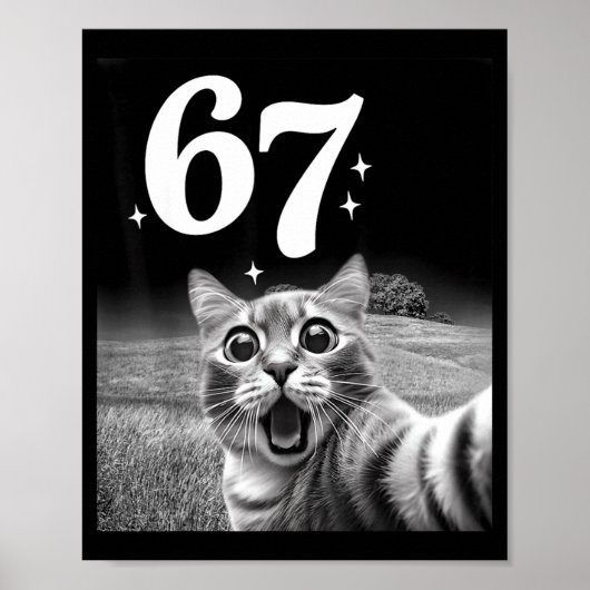 Cat Selfie With 67 Meme Funny Cats Graphic For Men Poster (Voorkant)