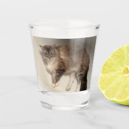 Cat Shot Glass Shot Glas