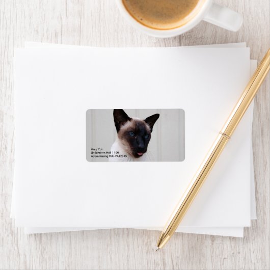 Cat Siamese Portrait Etiket (Insitu)
