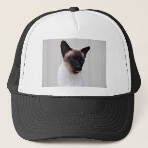 Cat Siamese Portrait Trucker Pet