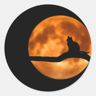 Cat Silhouette Moonlight Sticker