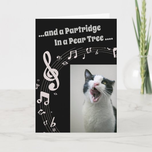 Cat SINGING Humor Song 2 Christmas Card Feestdagen Kaart (Voorkant)
