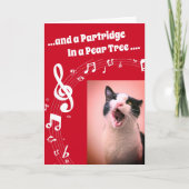 Cat SINGING Humor Song Rode Kerst Kaart (Voorkant)
