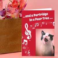 Cat SINGING Humor Song Rode Kerst Kaart