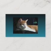 Cat Sitter-Visitekaartje Visitekaartje (Achterkant)