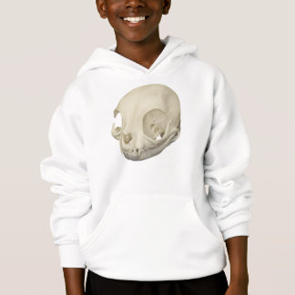 Cat Skull
